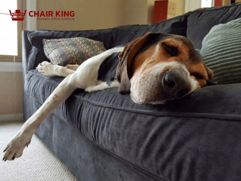 Nguyên nhân gây ra mùi hôi của ghế sofa
