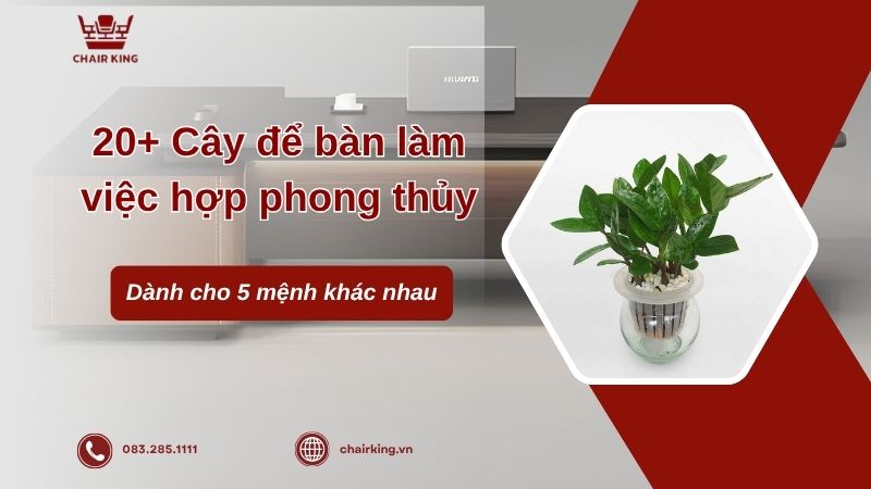 Cây để bàn làm việc
